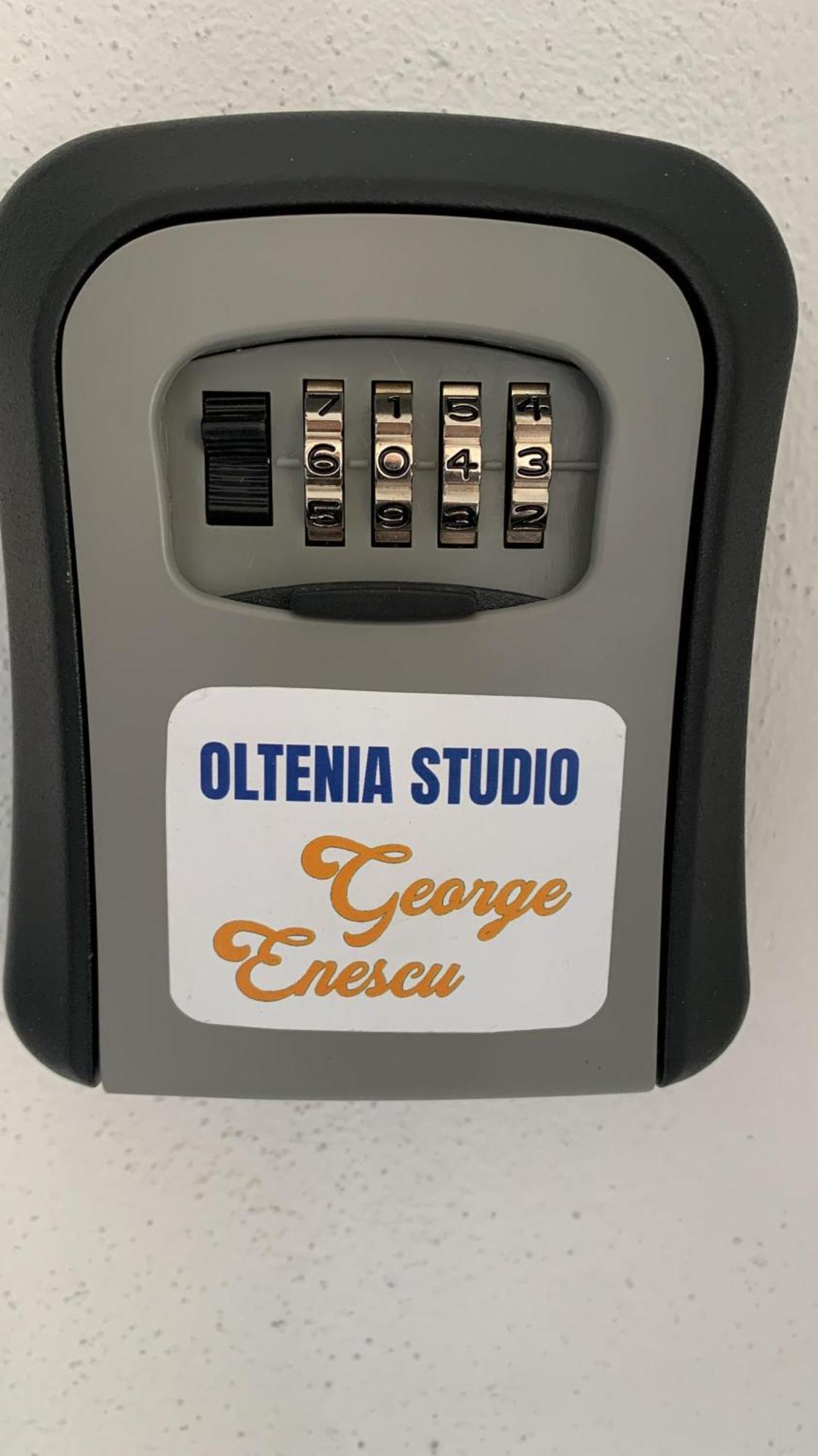 Oltenia Studio George Enescu Krajowa Zewnętrze zdjęcie