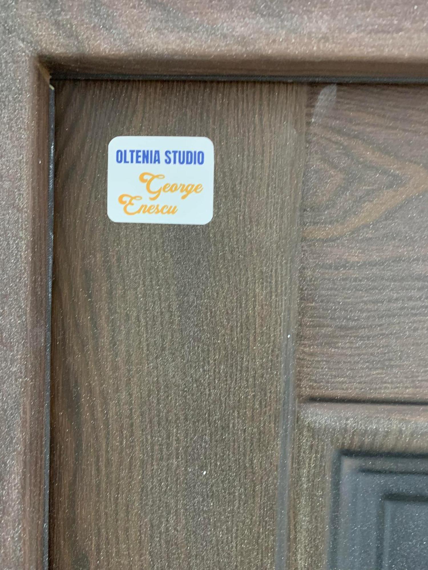 Oltenia Studio George Enescu Krajowa Zewnętrze zdjęcie